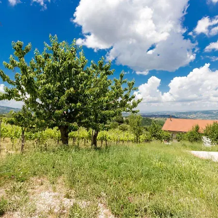 Montagne Verdi - Irpinia